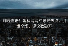 昨晚直击！黑料网网红曝光热点，引爆全场，评论数破万