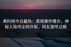 黑料网今日最热：真相事件曝光，神秘人现场全网炸裂，网友直呼过瘾