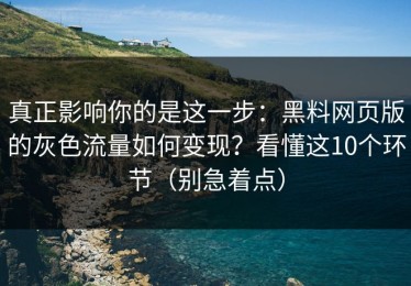 真正影响你的是这一步：黑料网页版的灰色流量如何变现？看懂这10个环节（别急着点）