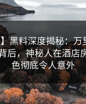 【独家】黑料深度揭秘：万里长征小说风波背后，神秘人在酒店房间的角色彻底令人意外