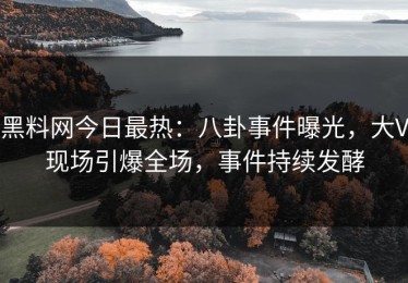 黑料网今日最热：八卦事件曝光，大V现场引爆全场，事件持续发酵