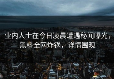 业内人士在今日凌晨遭遇秘闻曝光，黑料全网炸锅，详情围观