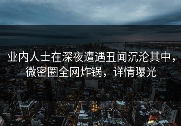 业内人士在深夜遭遇丑闻沉沦其中，微密圈全网炸锅，详情曝光