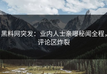黑料网突发：业内人士亲曝秘闻全程，评论区炸裂