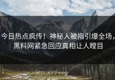 今日热点疯传！神秘人被指引爆全场，黑料网紧急回应真相让人瞠目