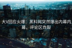 大V回应火爆：黑料网突然爆出内幕内幕，评论区炸裂