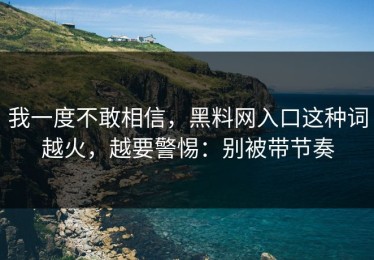 我一度不敢相信，黑料网入口这种词越火，越要警惕：别被带节奏