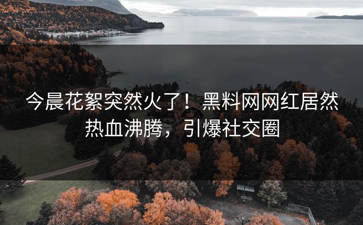 今晨花絮突然火了！黑料网网红居然热血沸腾，引爆社交圈