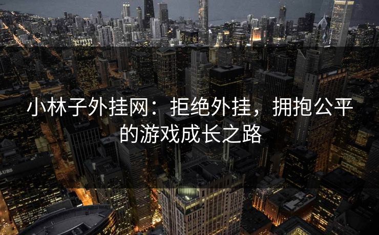 小林子外挂网：拒绝外挂，拥抱公平的游戏成长之路