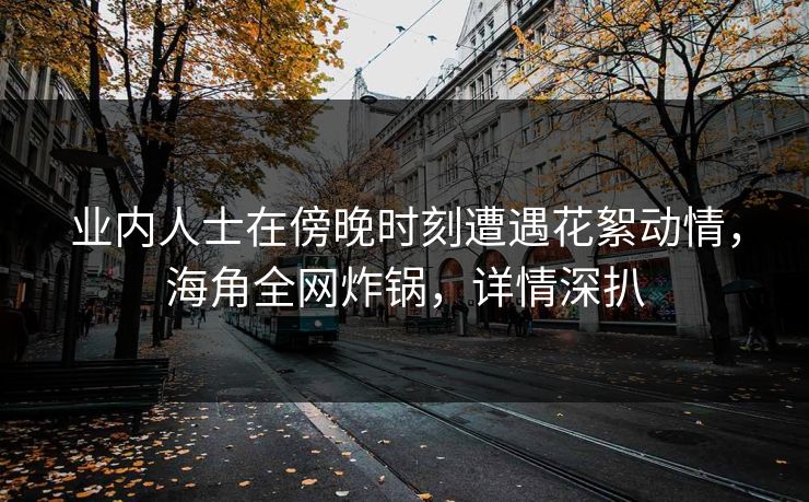 业内人士在傍晚时刻遭遇花絮动情，海角全网炸锅，详情深扒