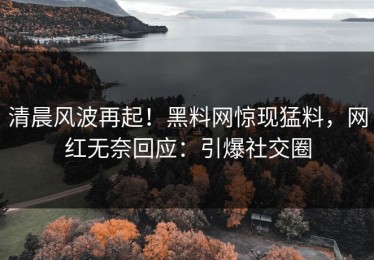 清晨风波再起！黑料网惊现猛料，网红无奈回应：引爆社交圈