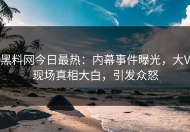 黑料网今日最热：内幕事件曝光，大V现场真相大白，引发众怒