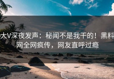 大V深夜发声：秘闻不是我干的！黑料网全网疯传，网友直呼过瘾