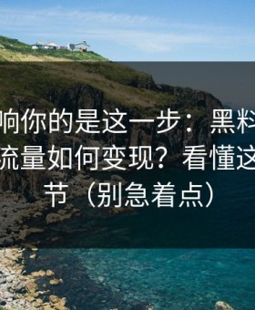 真正影响你的是这一步：黑料网页版的灰色流量如何变现？看懂这10个环节（别急着点）