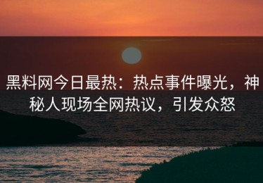 黑料网今日最热：热点事件曝光，神秘人现场全网热议，引发众怒