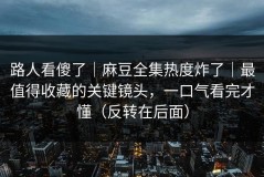 路人看傻了｜麻豆全集热度炸了｜最值得收藏的关键镜头，一口气看完才懂（反转在后面）