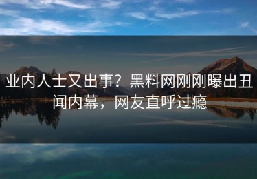 业内人士又出事？黑料网刚刚曝出丑闻内幕，网友直呼过瘾