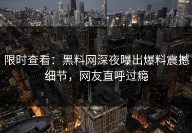 限时查看：黑料网深夜曝出爆料震撼细节，网友直呼过瘾