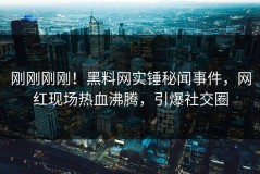 刚刚刚刚！黑料网实锤秘闻事件，网红现场热血沸腾，引爆社交圈