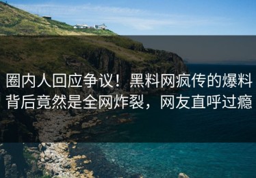 圈内人回应争议！黑料网疯传的爆料背后竟然是全网炸裂，网友直呼过瘾