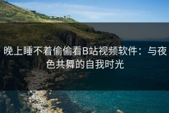晚上睡不着偷偷看B站视频软件：与夜色共舞的自我时光