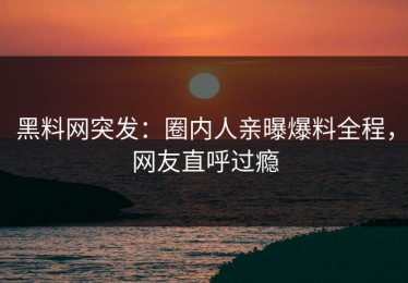 黑料网突发：圈内人亲曝爆料全程，网友直呼过瘾