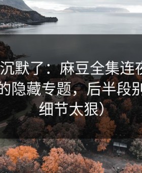 看完我沉默了：麻豆全集连夜修复｜最扎心的隐藏专题，后半段别错过（细节太狠）