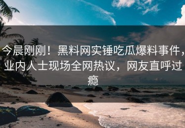 今晨刚刚！黑料网实锤吃瓜爆料事件，业内人士现场全网热议，网友直呼过瘾
