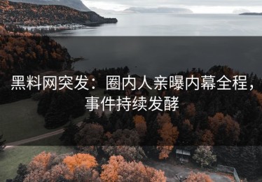 黑料网突发：圈内人亲曝内幕全程，事件持续发酵