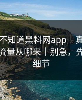 你可能不知道黑料网app｜真正靠的是它的流量从哪来｜别急，先看这条细节