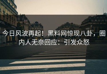 今日风波再起！黑料网惊现八卦，圈内人无奈回应：引发众怒