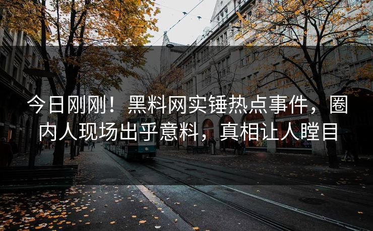 今日刚刚！黑料网实锤热点事件，圈内人现场出乎意料，真相让人瞠目