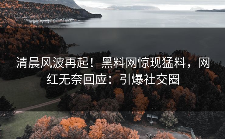 清晨风波再起！黑料网惊现猛料，网红无奈回应：引爆社交圈